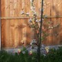 100_3049.jpg