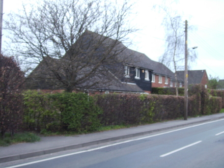 Leaf Buds breaking on Vistabile Beech Hedge 04.08S (Fagus sylvatica  (Vistabile))
