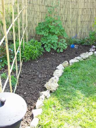 Seed Bed !!!