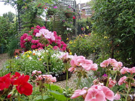 garden view