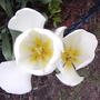 2008-05-07_010