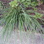 2008-05-07_021