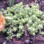 2008-05-07_017