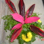 A garden flower photo
