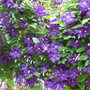 July_12th_00058