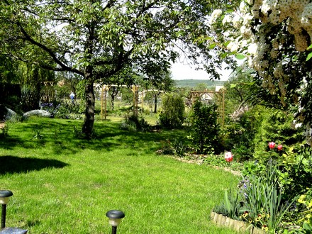 View down the back garden from the patio.