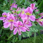 July_12th_00004