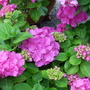 July_12th_00038
