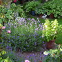 Upper_hopton_gardens_00026