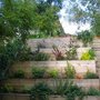 Garden_2