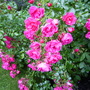 July_12th_00064