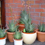 Dsc00655