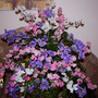 Sweet Peas - A flower arrangement for our Church    