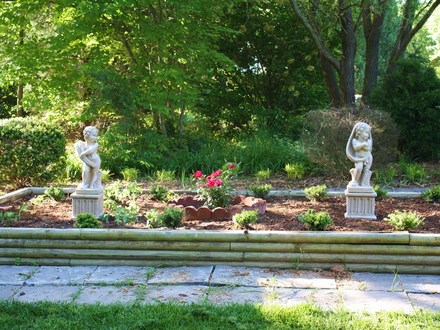 My Vegetable Garden