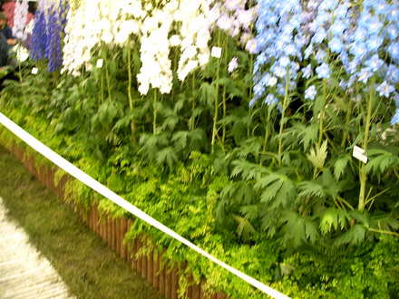 Malvern Spring Show 2008