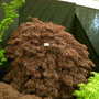2008_shows_008