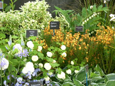 Malvern Spring Show 2008