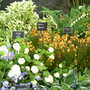 2008_shows_010