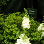 2008_shows_014
