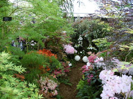 Malvern Spring Show 2008