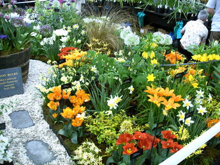 Malvern Spring Show 2008