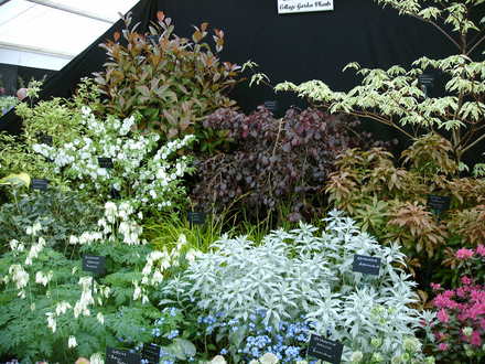 Malvern Spring Show 2008