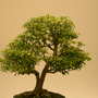 2008_shows_026
