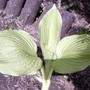 2008-05-10_002