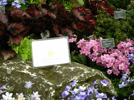 Malvern Spring Show 2008