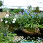 2008_shows_070