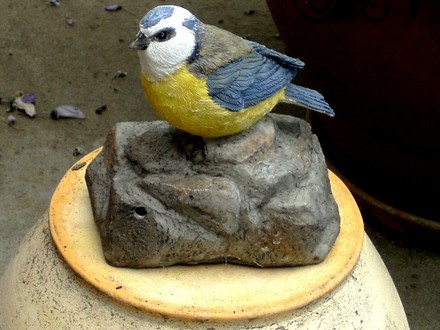 This blue tit is ceramic. I bought it yesterday.