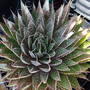 Dscf0426