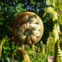 Dscf0417