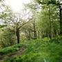 Copy_of_walk_002