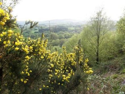 west pennine moors