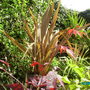 Imgp0933