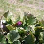 100_0790__576_x_432_