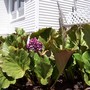100_0791__576_x_432_