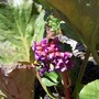100_0793__576_x_432_