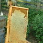 Dscf0184