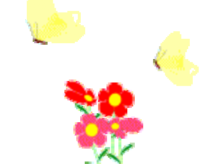 flower and flutterbys