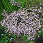 Dsc03149
