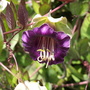 20080511_42