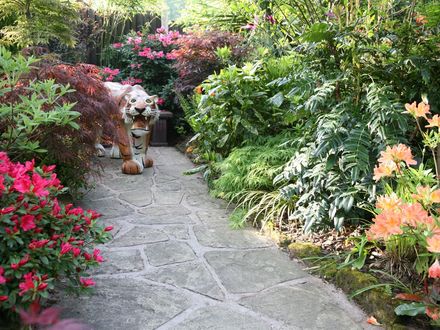 Tiger in May 2008