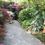 Tiger_in_may_08