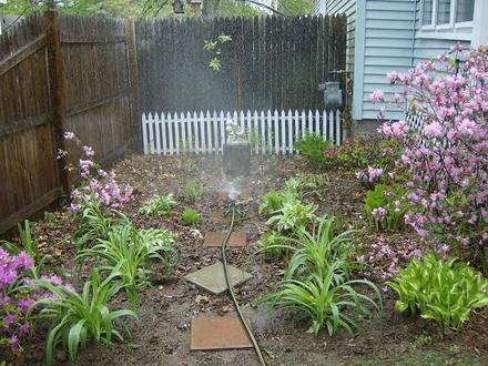 Fern and Hosta garden - May 2008