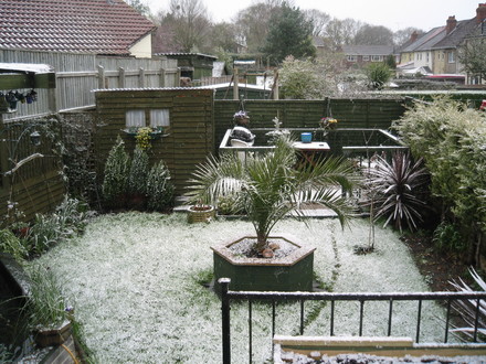 Spring snow