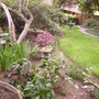 Pict0087