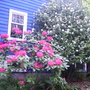 Pict0077