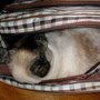 Catinabag2006